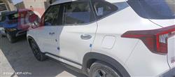کیا سێلتۆس